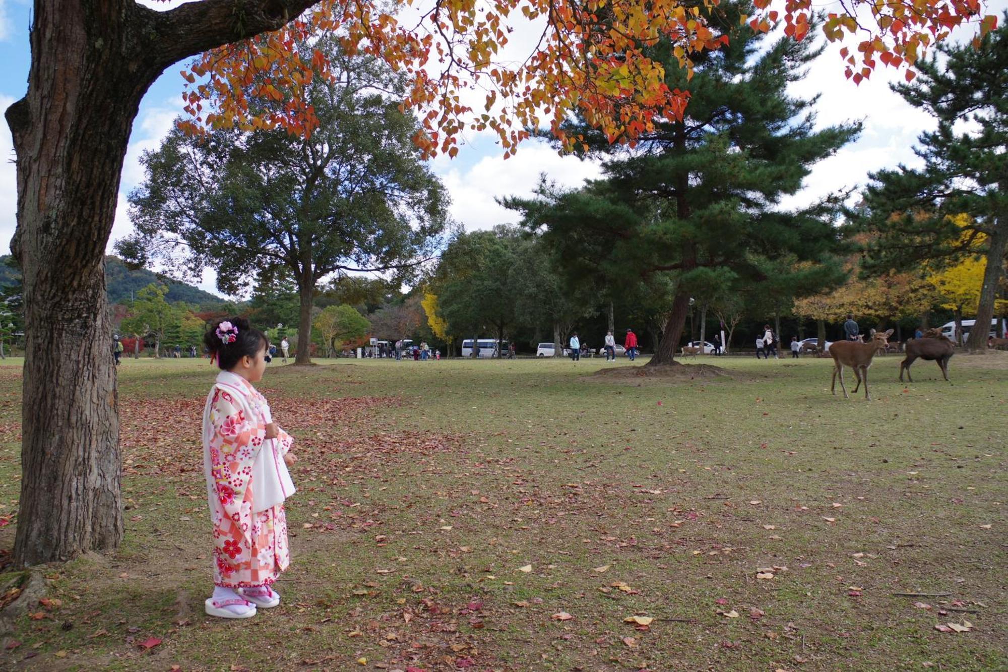 Family 公寓